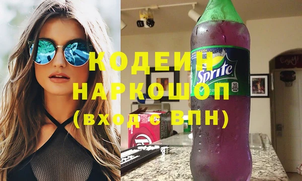 шишки Богородицк